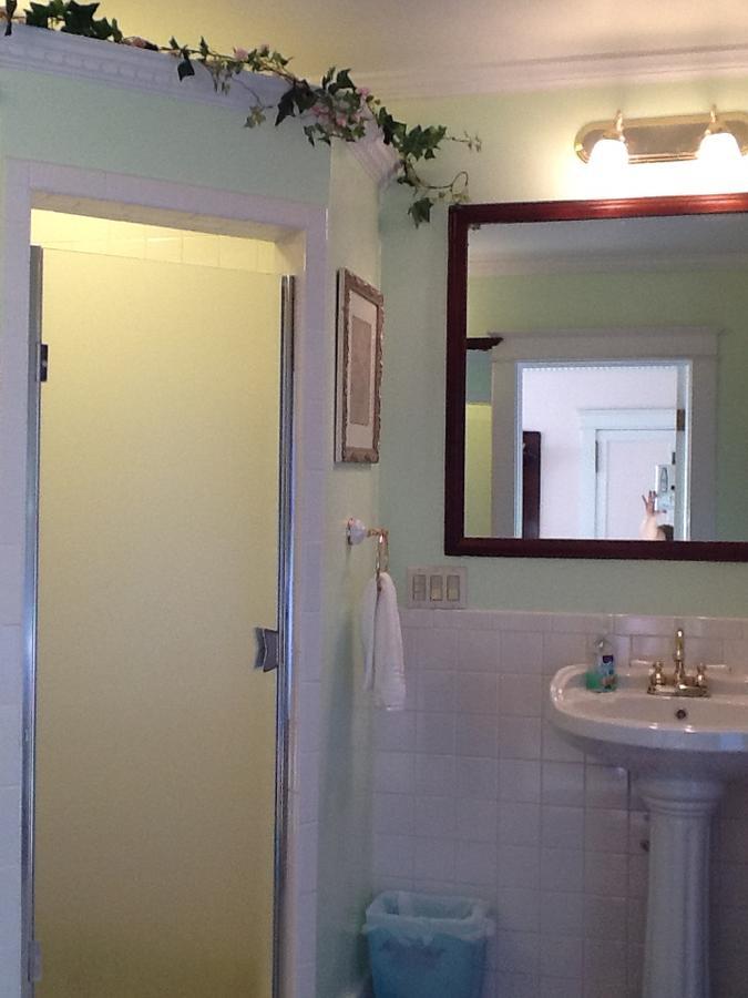 Scarlett House Victorian B & B Janesville Extérieur photo